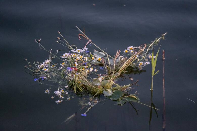 Kwiaty unoszące się na tafli wody