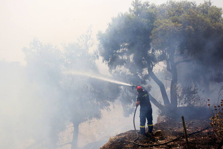 Greccy strażacy walczą z pożarami, które trawią ich kraj. Polscy ruszyli na pomoc
