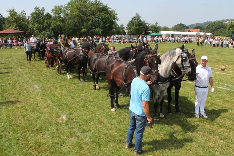 W przeglądzie koni w Porębie wzięli udział hodowcy z całego kraju.