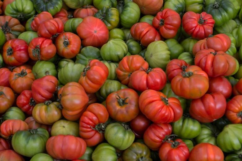 Pomidory "Bawole serce" mają duże owoce o bardzo smacznym miąższu.