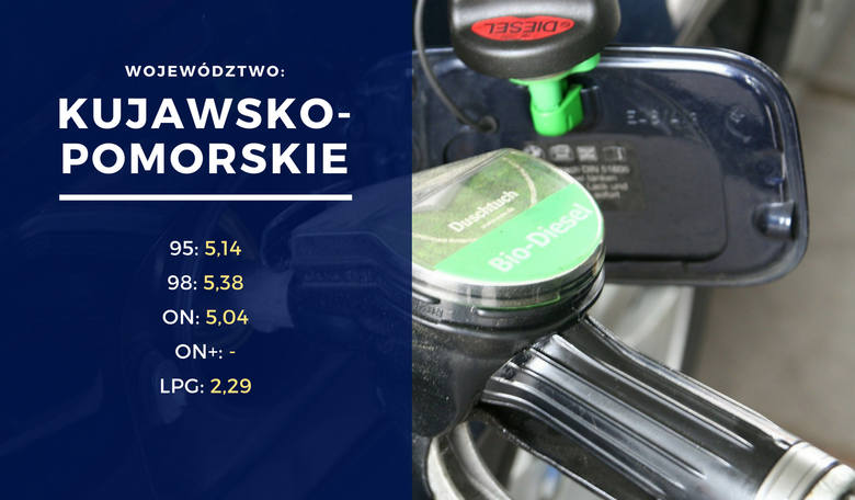 Ceny paliw w Polsce. W którym województwie najmniej zapłacimy za paliwo?