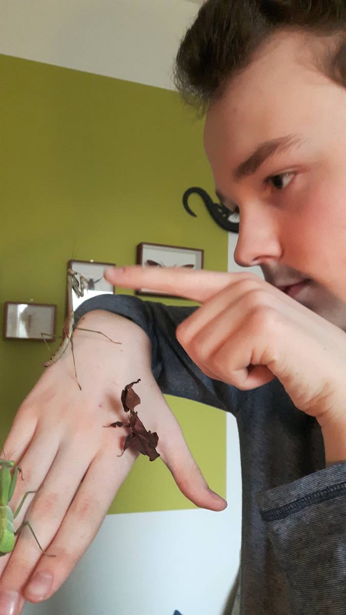 Kajetan Bielicki ma 14 lat. Pasjonuje się owadami i biologią. Chce w przyszłości zdobyć nagrodę Nobla.