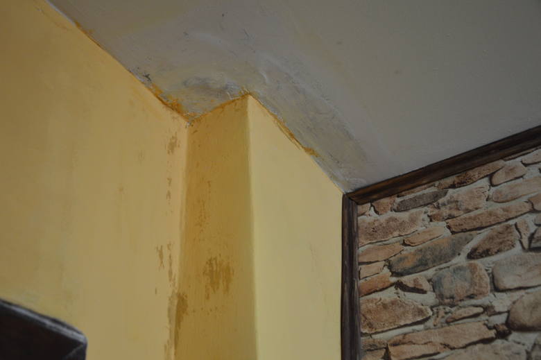 Woda cieknąca spod parapetów, smoła na ścianach i smród, aż boli głowa. Tak się żyje w jednym z komunalnych mieszkań w Torzymiu