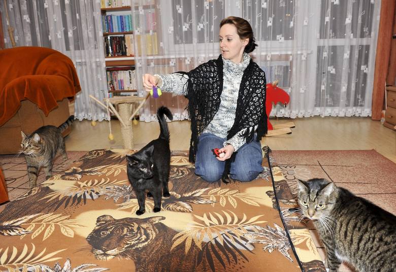 Dopóki ktoś nie ma kota, zwykle nie zdaje sobie sprawy, że je lubi - śmieje się Agata Kilon, założycielka i prezes Fundacji Kotkowo, która od 10 lat zajmuje się bezdomnymi kotami 