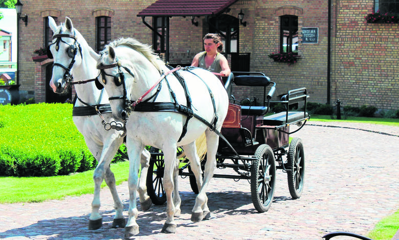 Przejażdżki konno oraz bryczką po pięknej okolicy to jedna z wielu atrakcji jakie czekają gości Folwarku Pszczew