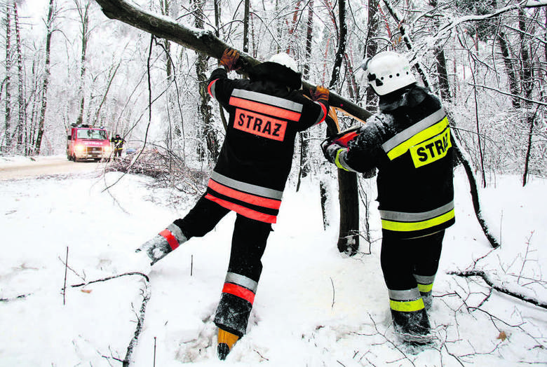 Zima 2010. Strażacy udrożniają drogi, na które przewracają się obciążone lodowymi czapami drzewa.