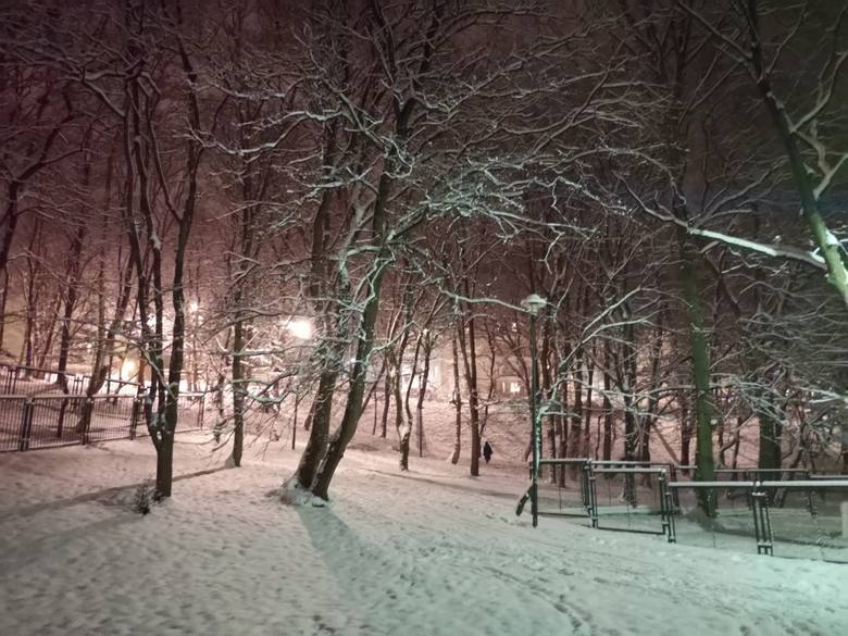 Ponad 100-letni park w Tczewie zasypany śniegiem