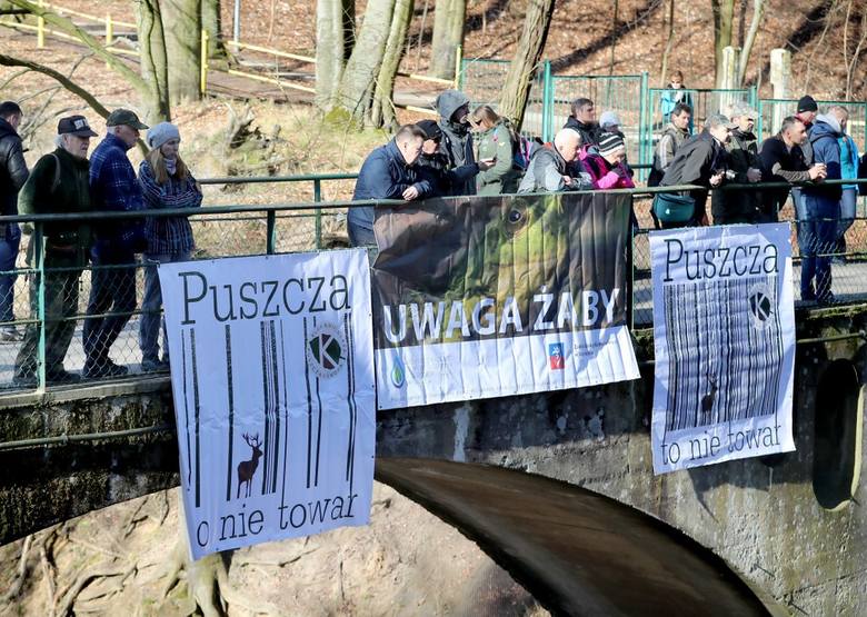 Protest za nami, ale to jeszcze nie koniec walki o Puszczę Bukową