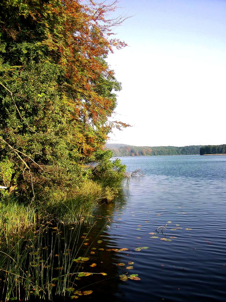 Małe, ale głębokie: jezioro Krajnik ma swój indywidualny charakter. Zwróćmy uwagę na jego głębokość. To drugi pod tym względem zbiornik regionu.