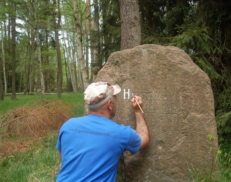 Starsi i młodsi miłośnicy historii z gminy Szprotawa społecznie odnawiają stare kamienie, wskazujące drogę.