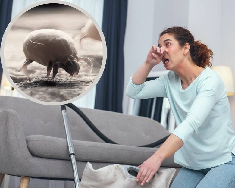 Kobieta z napadem alergii w czasie sprzątania i powiększone zdjęcie roztoczy kurzu
