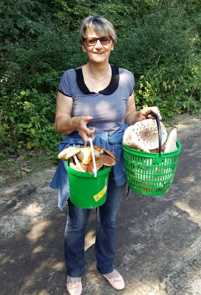 Oto grzyby znalezione przez Panią Małgorzatę w okolicach Pińczowa.ZOBACZ WIĘCEJ: ATLAS GRZYBÓW. Jak odróżnić grzyby jadalne od trujących? [PRZYKŁADOWE