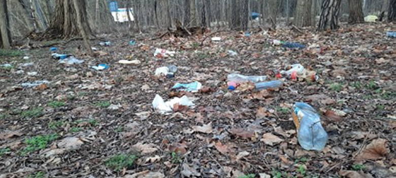 Mieszkańcy: w okolicy Batorego w Zielonej Górze jest bałagan. Wyrzucanie śmieci do lasu to wielki obciach. A ludzie wciąż to robią!