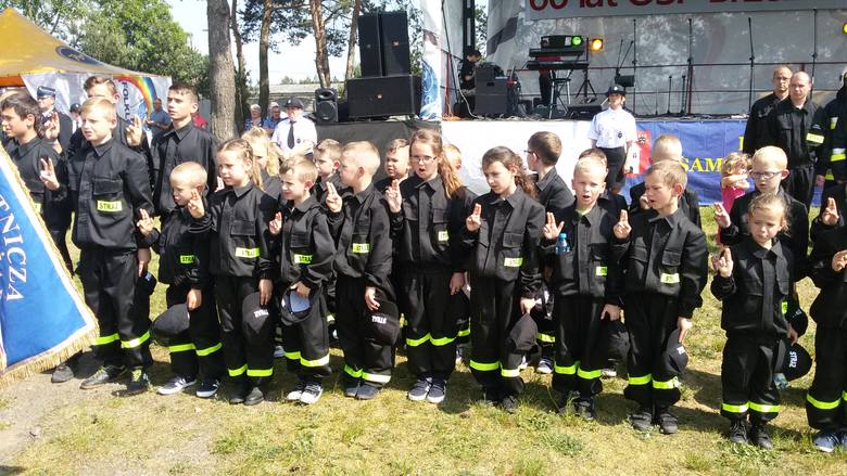Strażacy z Brzeźnicy obchodzili jubileusz 60. rocznicy powstania OSP.