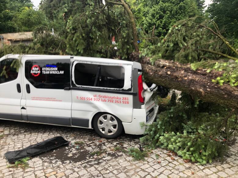 Drzewo runęło na samochód przy parku Grabiszyńskim