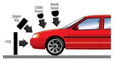 Fot. Euro-NCAP: Charakterystyczne miejsca zetknięcia ciała ze zderzakiem, pasem przednim, pokrywą silnika, szybą i słupkami.