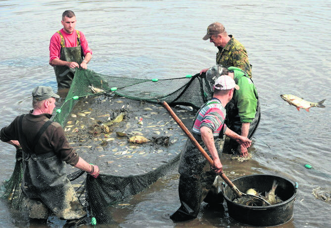 Kwiecień. W ciągu dwóch dni z 20 - hektarowego zalewu w Suchedniowie odłowiono  10 ton ryb. Trafiły do innych wód.