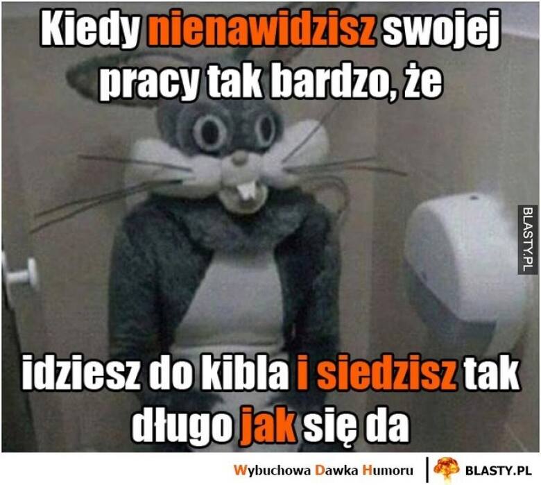 Polacy śmieją się ze swoich szefów. Najlepsze memy o wyzysku, kiepskich pensjach i złośliwych pracodawcach 17.09.2023