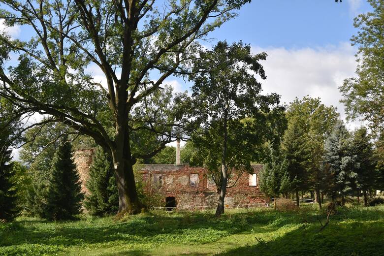 Pozostałości zamku Fredrów we Fredropolu. W ich otoczeniu ma powstać Twierdza Wykluczonych, ośrodek dla rehabilitowanych zwierząt.