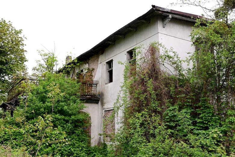 Zapomniana i opuszczona willa Hamburger na jednym z wrocławskich osiedli niedługo zniknie w gąszczu zieleni. Zobacz, jak wygląda to miejsce na zdjęciach,