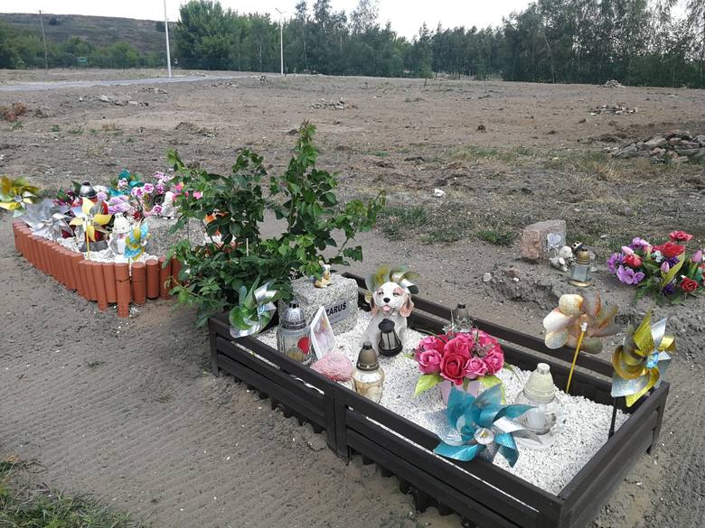 Toruński cmentarz dla zwierząt został właśnie znacząco powiększony. Nic dziwnego, przy ul. Kociewskiej spoczywa już niemal 1200 pupili