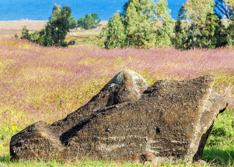 Kogo przedstawiają moai, dla kogo je ustawiano? Teorii jest tyle, ile osób je widziało. Dla jednych są to wyobrażenia wojowników, którzy jako pierwsi przybyli na wyspę, drudzy twierdzą, że to obraz dawnych mieszkańców, a jeszcze inni wspominają o przedstawieniach miejscowych bóstw