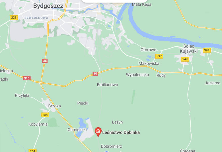 Pożar lasu na terenie Leśnictwa Dębinka pod Bydgoszczą. W akcji brał udział samolot