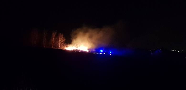 Pożar łąki w pobliżu ul. Spacerowej w Rzeszowie