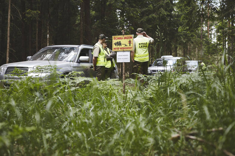 We wtorek rano ekolodzy znów zablokowali ciężki sprzęt używany do wycinania drzew w Puszczy Białowieskiej.