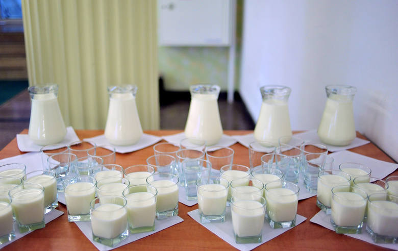 Mleczarze podkreślają: mleko może chronić przed rakiem