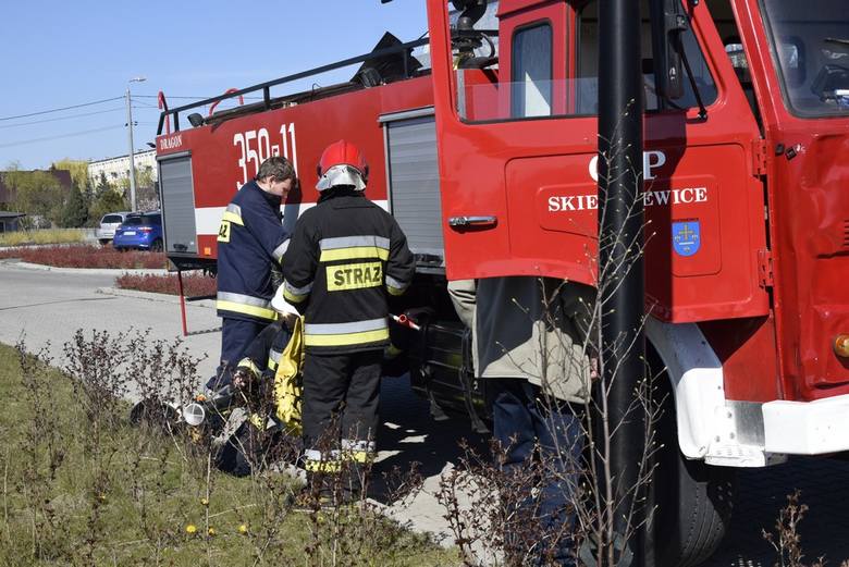 W poniedziałek (15 kwietnia) po południu zapaliła się trawa na działce sąsiadującej ze Żłobkiem Miejskim Iskierka. Pożar gasili skierniewiccy strażacy.
