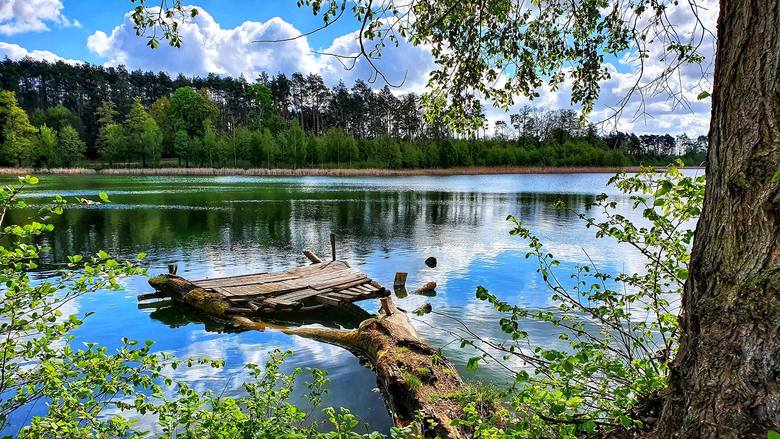 Jezioro Reczynek jest najbardziej znanym z Ośniańskich Jezior. Ma powierzchnię 40 ha. Największa głębokość to 14,8 m. Uroczysko Ośniańskich Jezior zajmuje 2.305 ha.