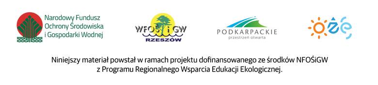 Jaka przyszłość czeka energetykę wiatrową w Polsce i na Podkarpaciu