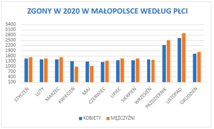 W Małopolsce w 2020 roku liczba zgonów wzrosła o blisko 20 procent. To tak, jakby z mapy województwa zniknęły Sułkowice