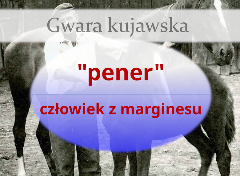 Gwara kujawska - tak mówiono kiedyś na Kujawach. Jest podobna do gwary poznańskiej