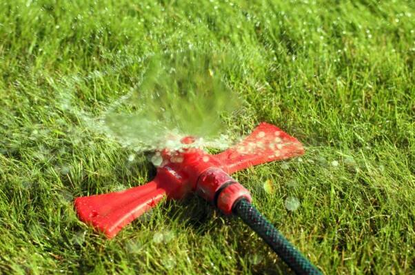 Niewłaściwe podlewanie trawnika może doprowadzić do poważnych zaburzeń w gospodarce wodnej ogrodu.