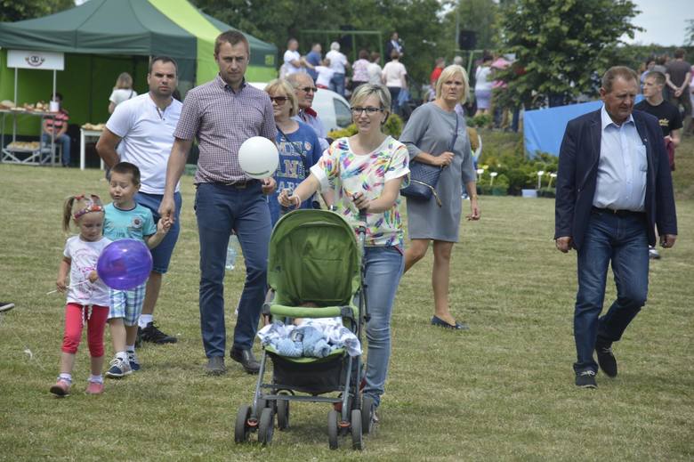 Piknik rodzinny w ZSP nr 2 w Łowiczu (Zdjęcia)