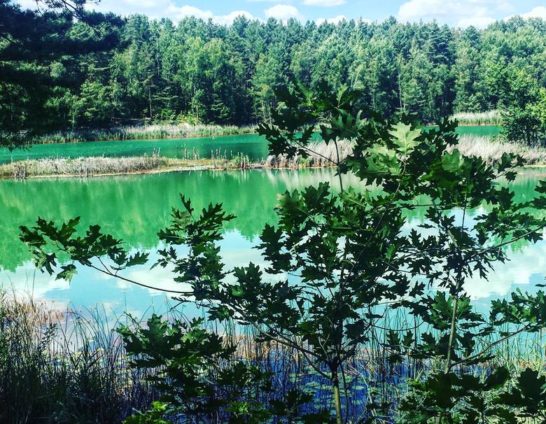 Łuk Mużakowa - Światowy Geopark UNESCO, czyli niesamowite pojezierze kolorowych jezior.