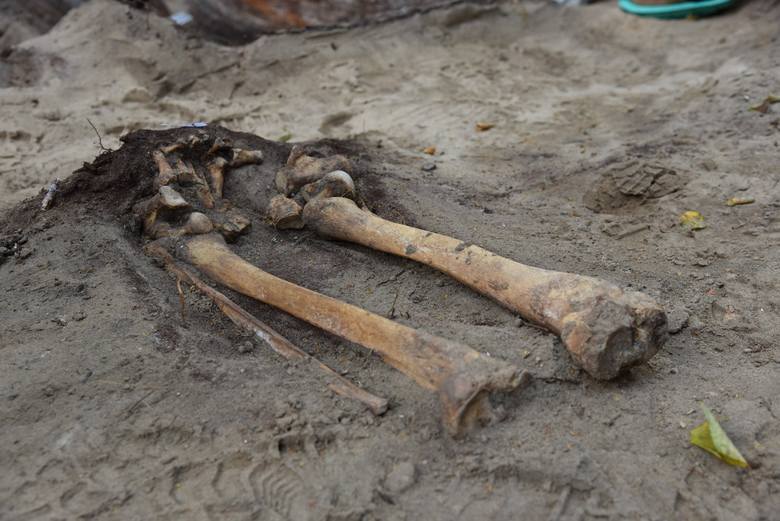 Prace archeologiczne w Nowym Porcie. Odnaleziono szkielety w miejscu dawnego cmentarza