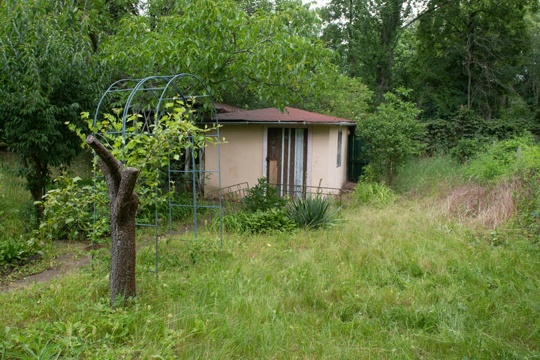 Sporny teren ROD Bogdanka składa się z trzynastu działek. Pozostała część ogrodu, czyli 49 działek ma zostać zachowana.