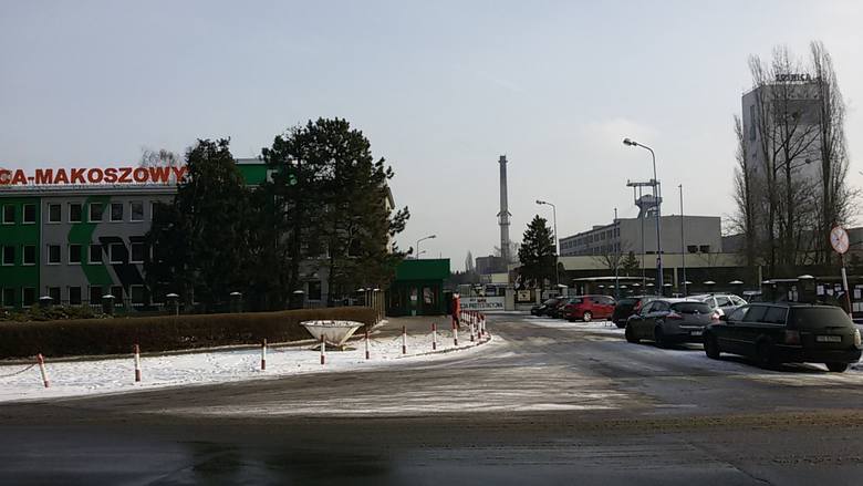 Strajk w kopalni Sośnica-Makoszowy: Kolejni górnicy przyłączają się do strajku [ZDJĘCIA]