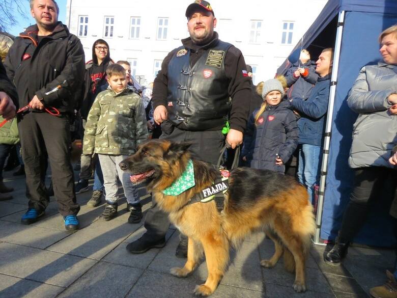 WOŚP 2024. W Wadowicach, przy okazji 32. finału, ponownie wielki marsz psów dla Orkiestry, a także pokaz umiejętności psów ratowniczych