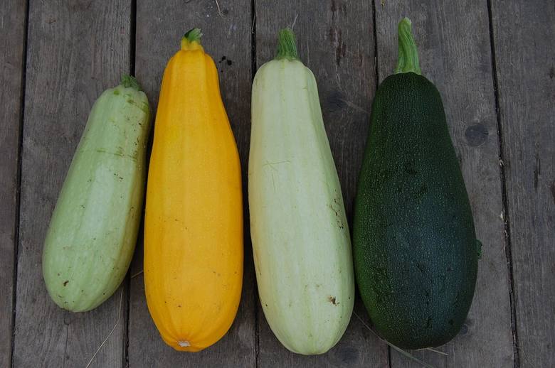 Cukinia występuje w różnych odcieniach barwy zielonej oraz żółtej.
