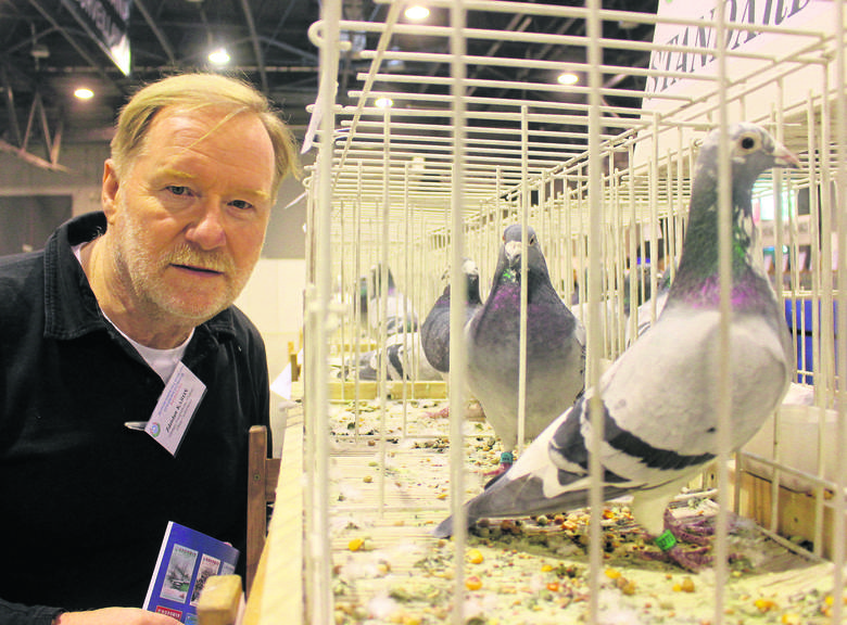 Zdzisław Karoń wciąż hoduje gołębie. W ubiegłą niedzielę brał udział w Międzynarodowych Targach Gołębi Pocztowych w Silesia Expo w Sosnowcu.