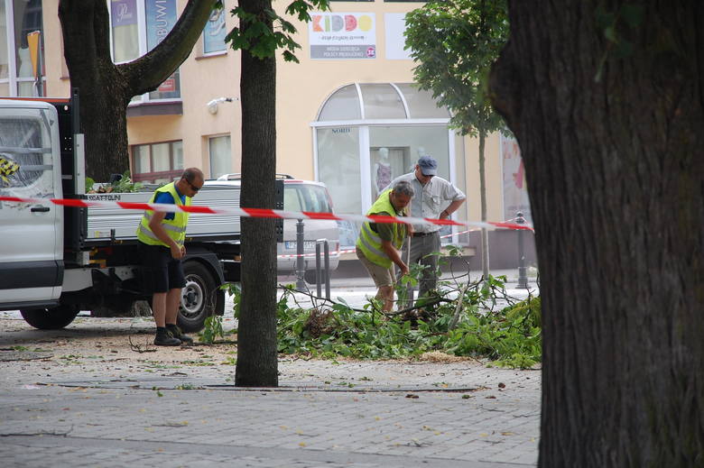 Prezes ZGKiM zapewnia, że drzewo musiało zostać wycięte ze względu na dobro mieszkańców 