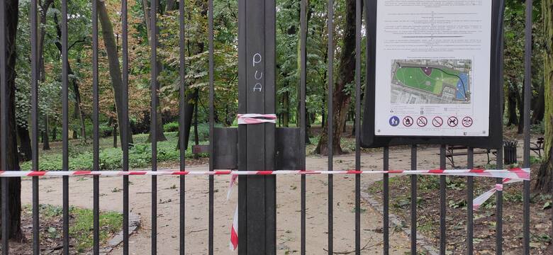 Trwa usuwanie szkód po nawałnicy w Lublinie i okolicach. Czytaj nasz raport na bieżąco 