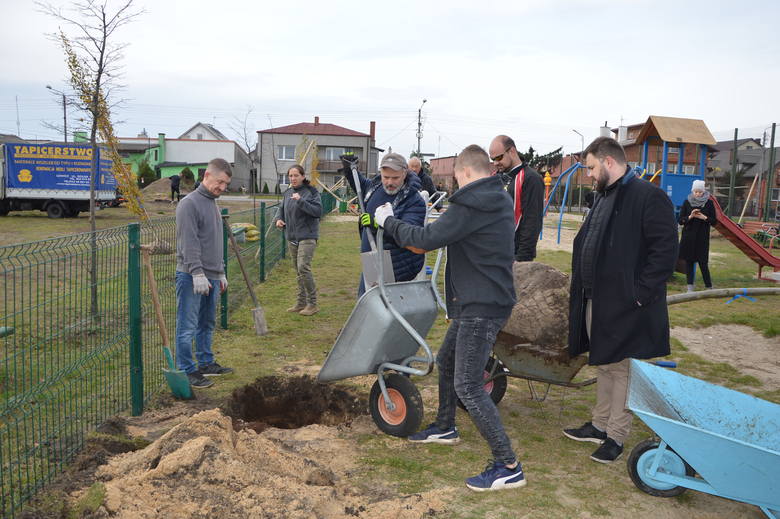 Akcja sadzenia drzew na Górkach w Łowiczu [ZDJĘCIA]