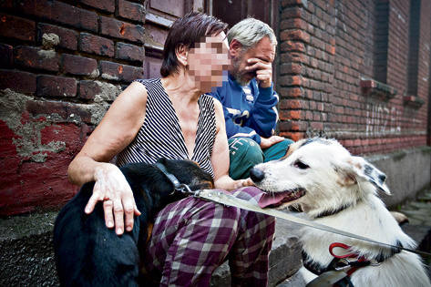 Zdzisława Darecka nie mogła pogodzić się z utratą psów.