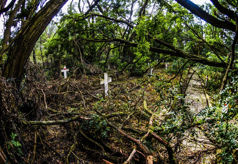Teren cmentarza z okresu II wojny światowej znajdującego się w Smukale przy ul. Baranowskiego w czasie ostatnich wichur i nawałnic został dosłownie zdemolowany przez poprzewracane pnie i gałęzie drzew, głównie akacji.<br /> 