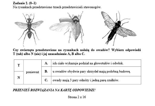 Egzamin gimnazjalny 2014 PRZYRODA: Owady i właściwości gazów na teście